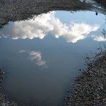 puddle_mirror